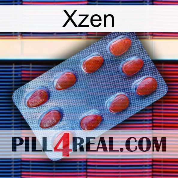 Xzen 06.jpg